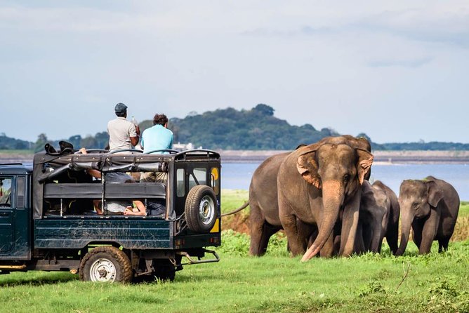 Take a jeep safari in a nearby national park